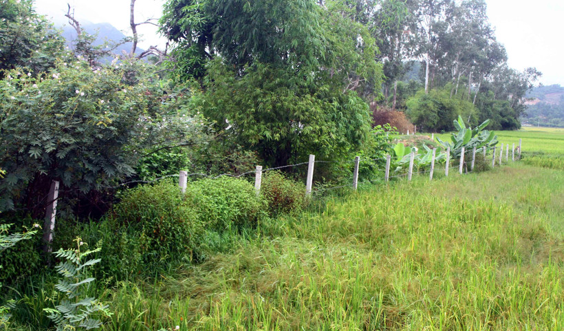 Đất nông nghiệp ở Nghệ An. (Ảnh: Tá Chuyên/TTXVN)