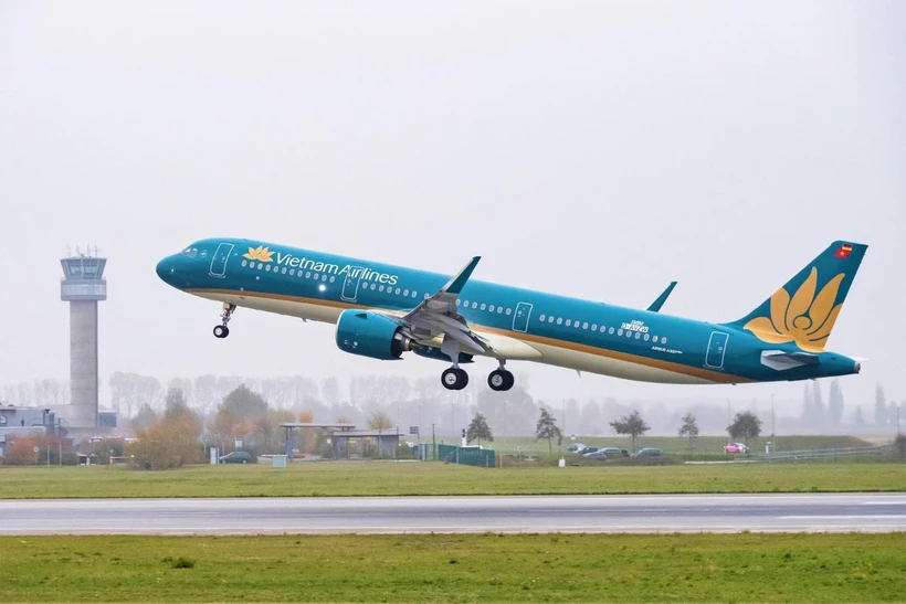 Máy bay của hãng hàng không Vietnam Airlines. (Ảnh: CTV/Vietnam+)