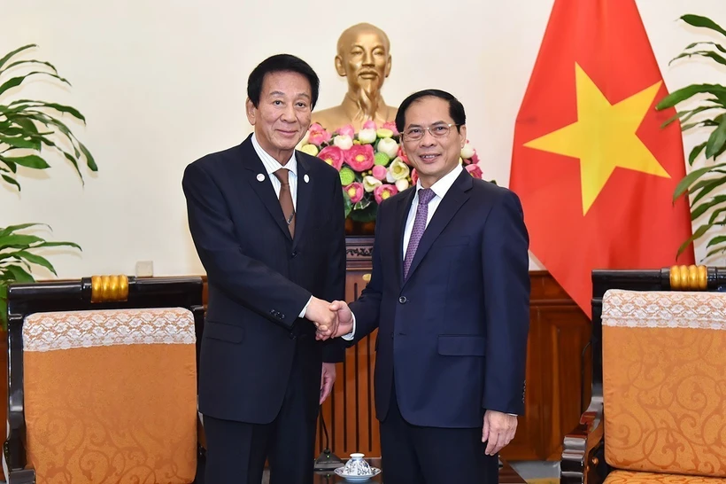 Bộ trưởng Ngoại giao Bùi Thanh Sơn tiếp nguyên Đại sứ Đặc biệt Nhật Bản-Việt Nam Sugi Ryotaro. (Ảnh: TTXVN phát)