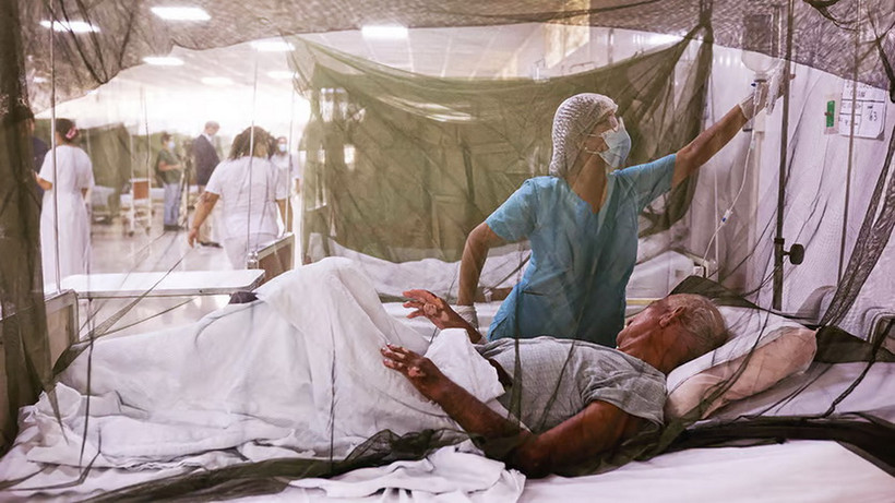 Điều trị bệnh nhân sốt xuất huyết. (Nguồn: Getty Images)