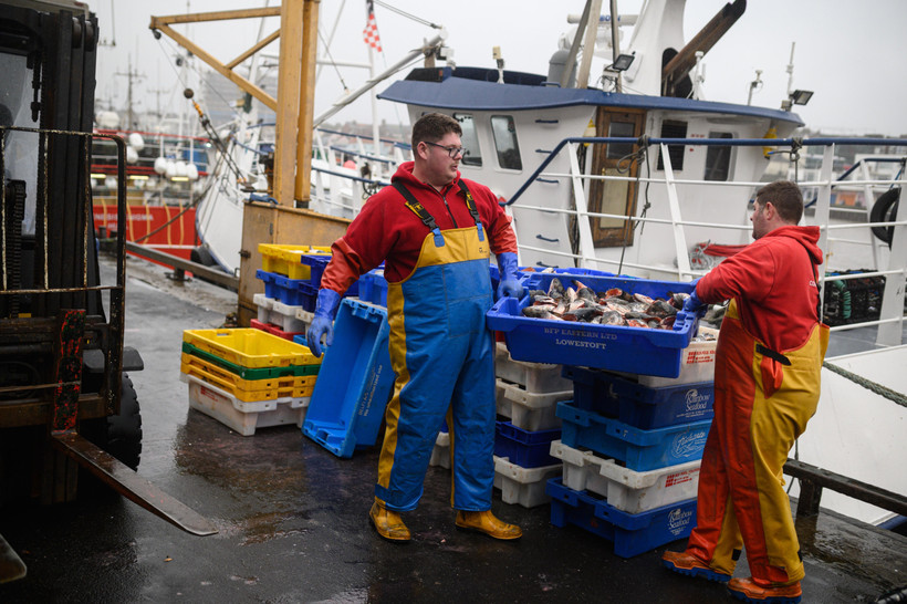 Các ngư dân phân loại đầu cá hồi được sử dụng làm mồi đánh bắt cua và tôm hùm trong chuyến ra khơi mới tại cảng South Pier ở Bridlington, Đông Bắc Anh ngày 11/12/2020. (Ảnh: AFP/TTXVN)