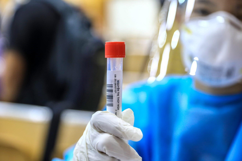 (Ảnh: Thành Đạt/TTXVN)