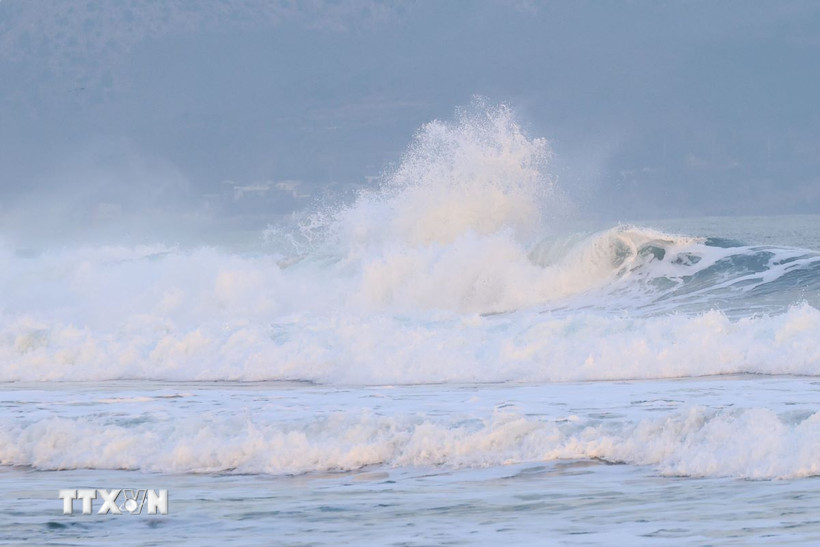 Ảnh minh họa. (Nguồn: TTXVN)