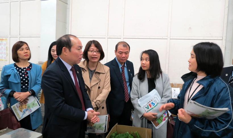 Chủ tịch Liên minh Hợp tác xã Việt Nam Nguyễn Ngọc Bảo tham quan tại hợp tác xã nông nghiệp tại tỉnh Ibaraki, Nhật Bản. (Ảnh: Thành Hữu/TTXVN)