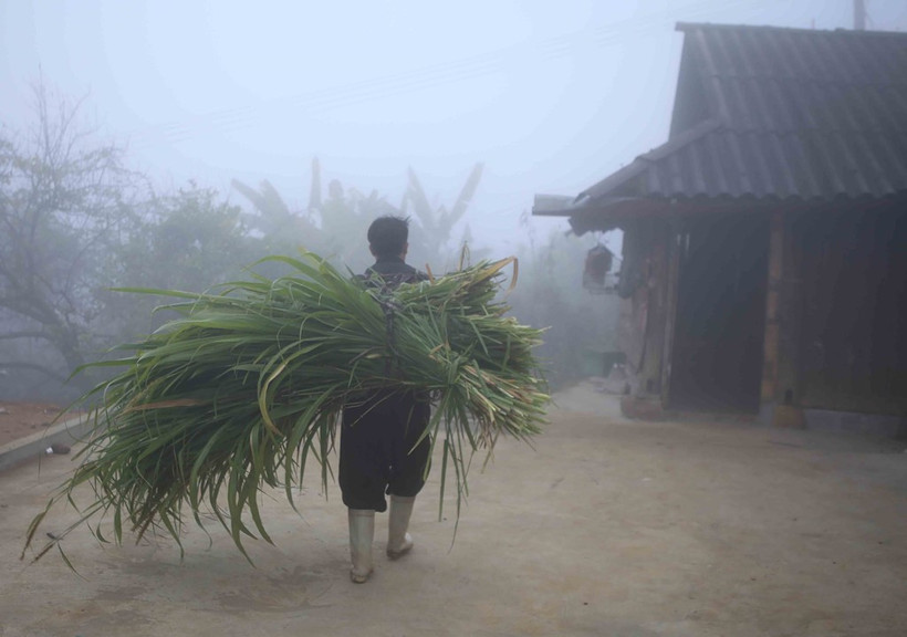 Nhiều khu vực ở Bắc Bộ có sương mù vào sáng sớm. (Ảnh: Quý Trung/TTXVN)
