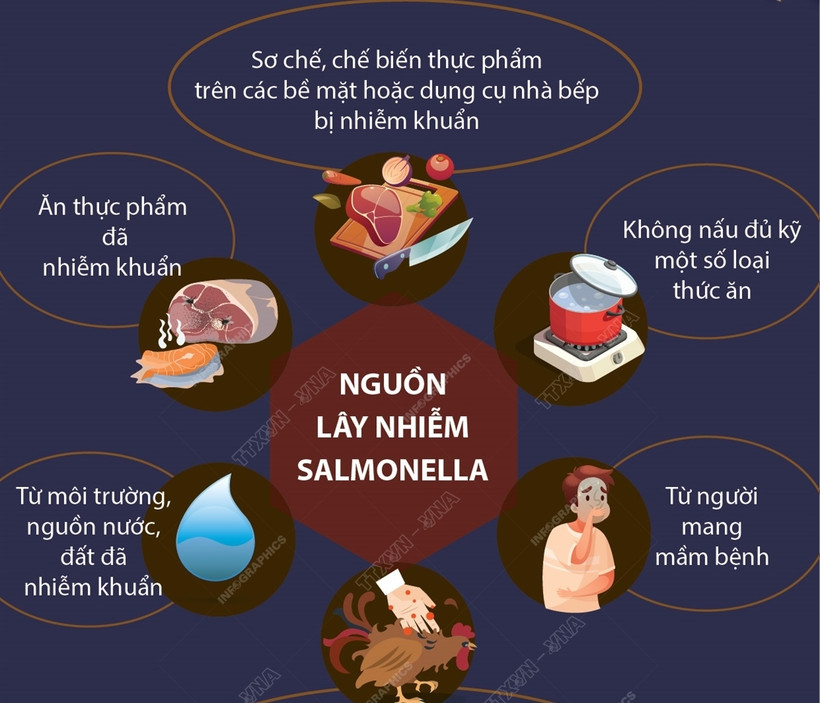 Cảnh giác với sự nguy hiểm của vi khuẩn Salmonella 