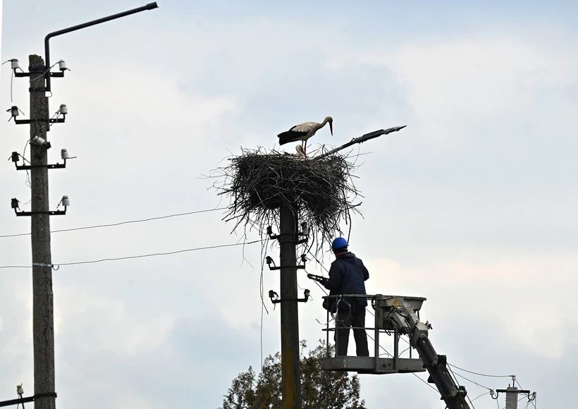 Công nhân sửa chữa đường dây điện tại Borodianka, tây bắc Kiev, Ukraine. (Ảnh: AFP/TTXVN)