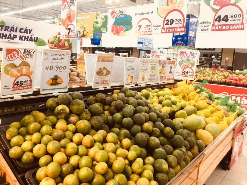 (Ảnh minh họa. Nguồn: Vietnam+)