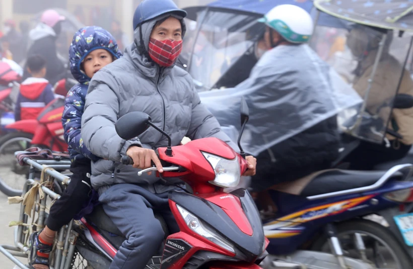 (Ảnh minh họa: Quốc Khánh/TTXVN)