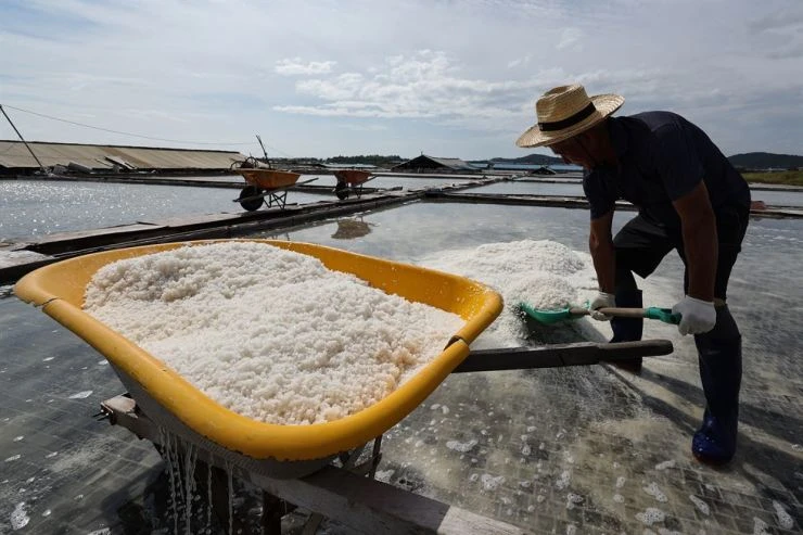 Hàn Quốc kiểm tra chuyên sâu về phóng xạ trên các cánh đồng muối