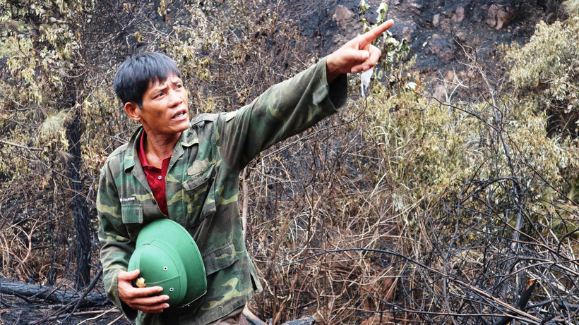 Ông Đậu Văn Tiến được ví như người hùng vì mở đường băng cản lửa cứu rừng. (Ảnh: Hoàng Ngà/TTXVN) 