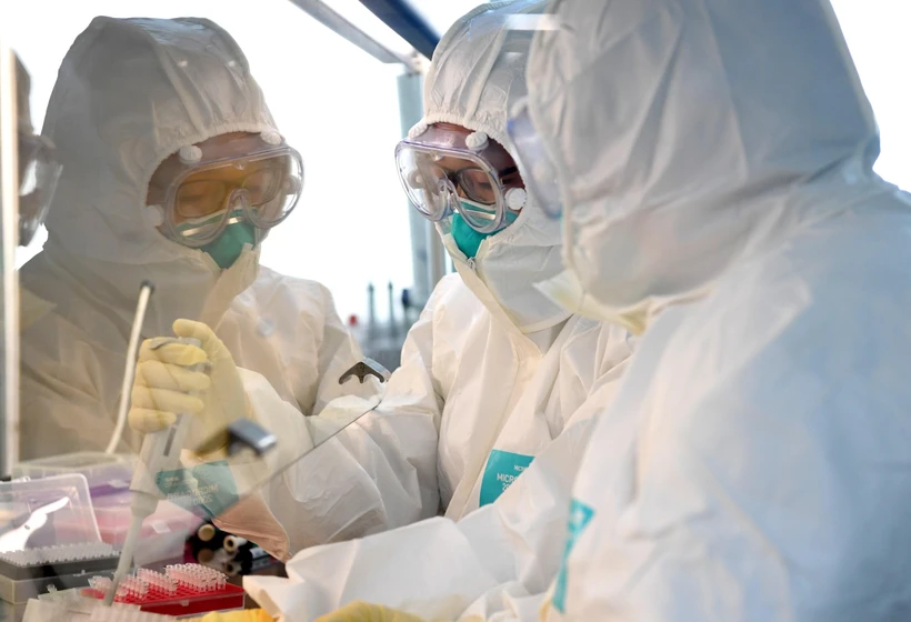 Nhóm nghiên cứu phân tích mẫu bệnh phẩm của bệnh nhân nhiễm virus SARS-CoV-2 tại phòng thí nghiệm ở Hà Nam, Trung Quốc ngày 4/2/2020. (Ảnh: THX/TTXVN)