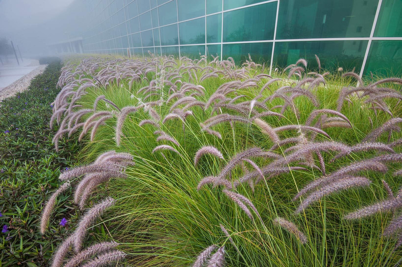 (Nguồn: asergeev.com)