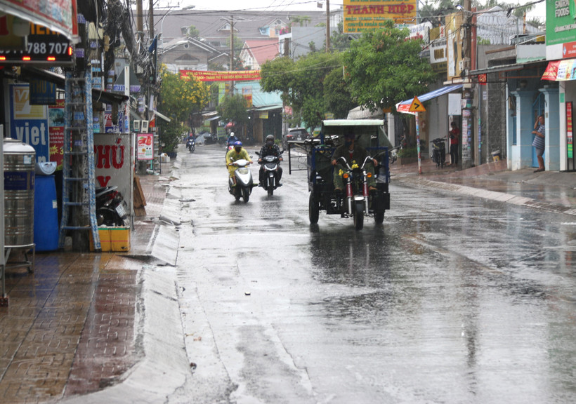 (Ảnh minh họa: Trần Xuân Tình/TTXVN)