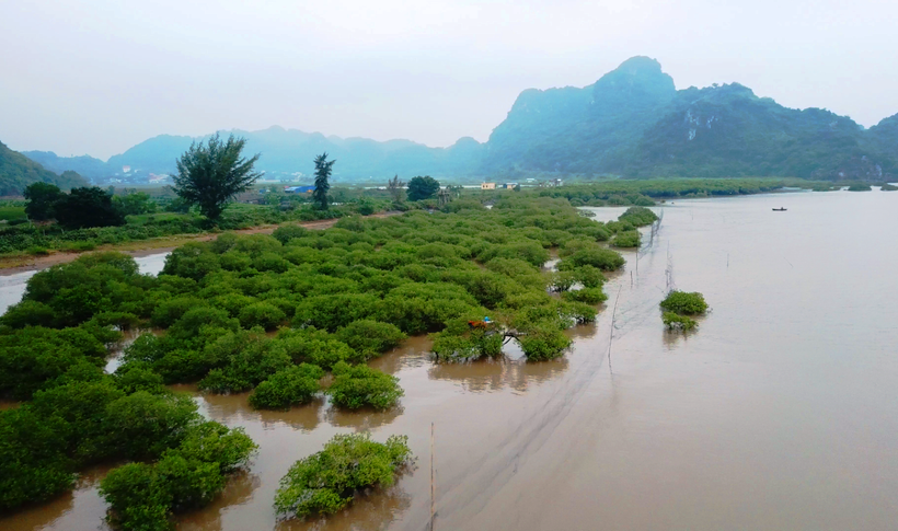 Ảnh minh họa. (Nguồn: Hùng Võ/Vietnam+)