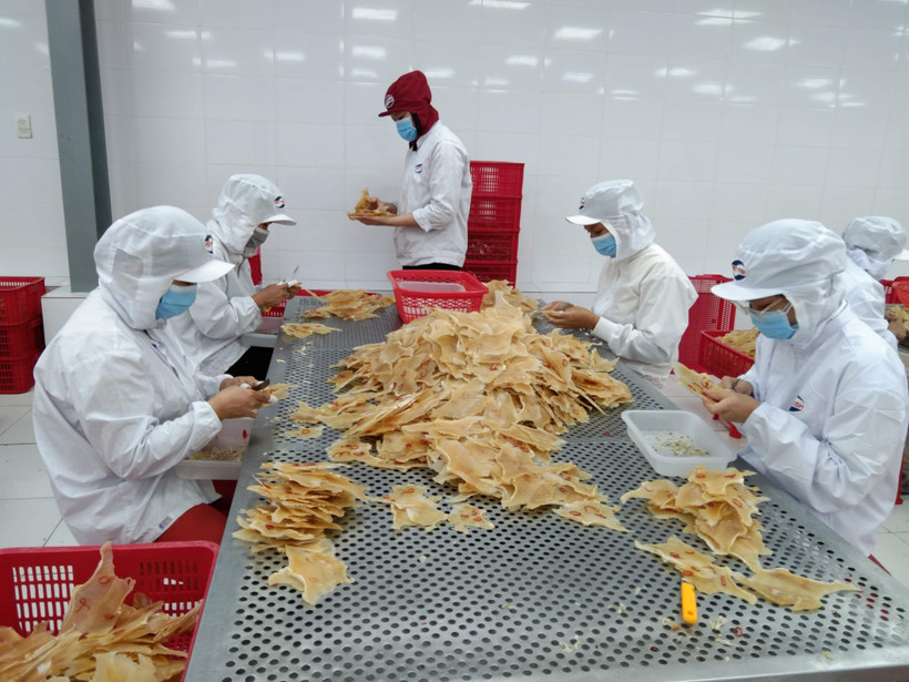 Công nhân tại Bến Tre làm việc trở lại sau thời gian giãn cách. (Ảnh: Huỳnh Phúc Hậu/TTXVN)