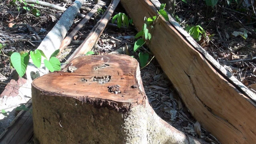 Ảnh minh họa. (Nguồn: TTXVN)