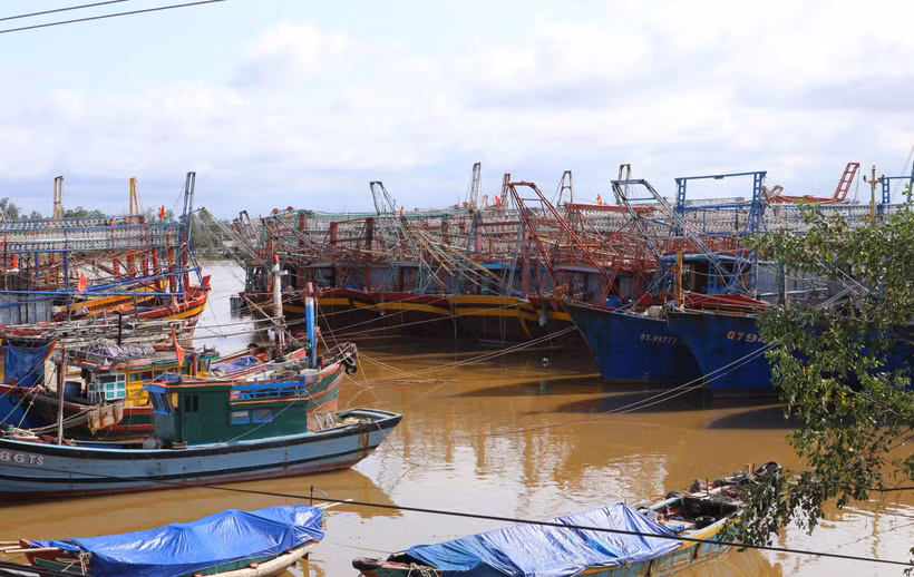 Tàu thuyền ngư dân trong tỉnh Quảng Trị và nhiều tỉnh thành khác đã neo đậu an toàn tại khu neo đậu tránh trú bão xã Triệu An, huyện Triệu Phong. (Ảnh: Hồ Cầu/TTXVN)