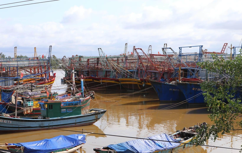 Tàu thuyền ngư dân trong tỉnh Quảng Trị và nhiều tỉnh thành khác đã neo đậu an toàn tại khu neo đậu tránh trú bão xã Triệu An, huyện Triệu Phong. (Ảnh: Hồ Cầu/TTXVN)