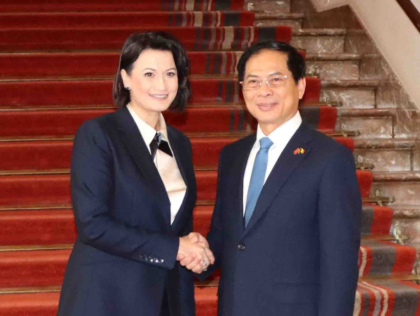 Bộ trưởng Ngoại giao Bùi Thanh Sơn gặp song phương Chủ tịch Thượng viện Bỉ Stephanie d’Hose, ngày 31/1/2024, tại Brussels. (Ảnh: Hương Giang/TTXVN)