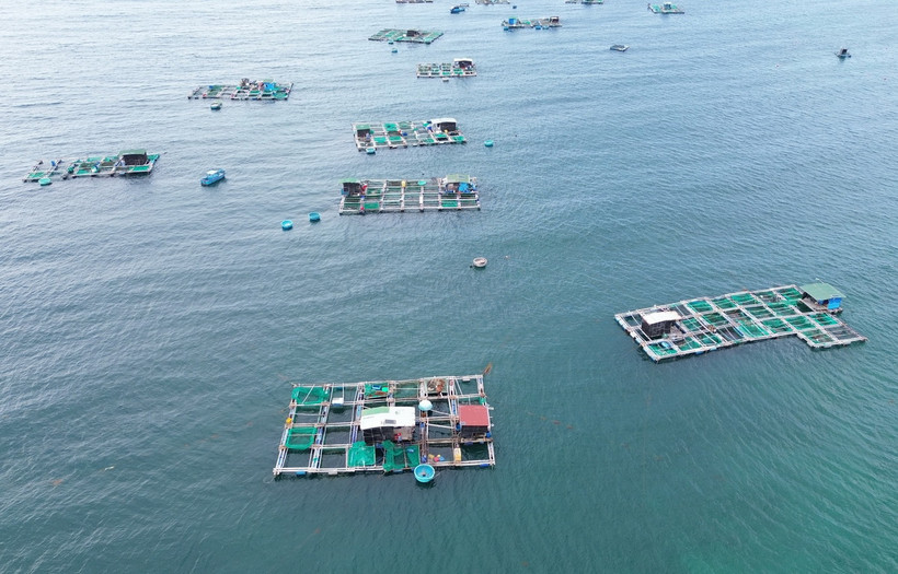 Mô hình nuôi tôm hùm, cá biển trong lồng bè của ngư dân xã Thanh Hải (Ninh Hải, Ninh Thuận). (Ảnh: Nguyễn Thành/TTXVN)