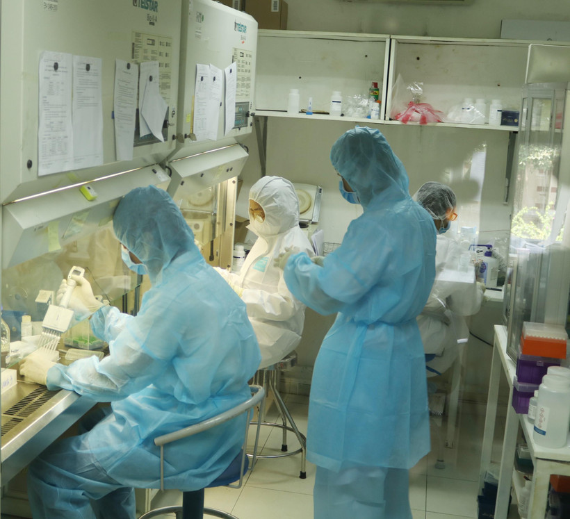 Nhân viên Viện Pasteur Thành phố Hồ Chí Minh miệt mài trong phòng xét nghiệm tìm virus SARS-CoV-2. (Ảnh: Đinh Hằng/TTXVN)