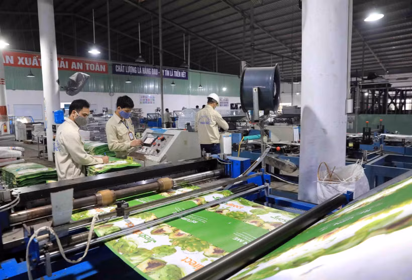 Dây chuyền sản xuất các sản phẩm bao bì tại Công ty Cổ phần bao bì Thuận Đức. (Ảnh: Phạm Kiên/TTXVN)