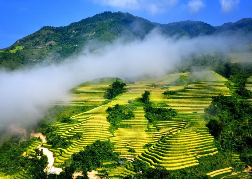 Ruộng bậc thang Sa Pa mùa nước đổ. (Ảnh: Quốc Khánh/TTXVN)