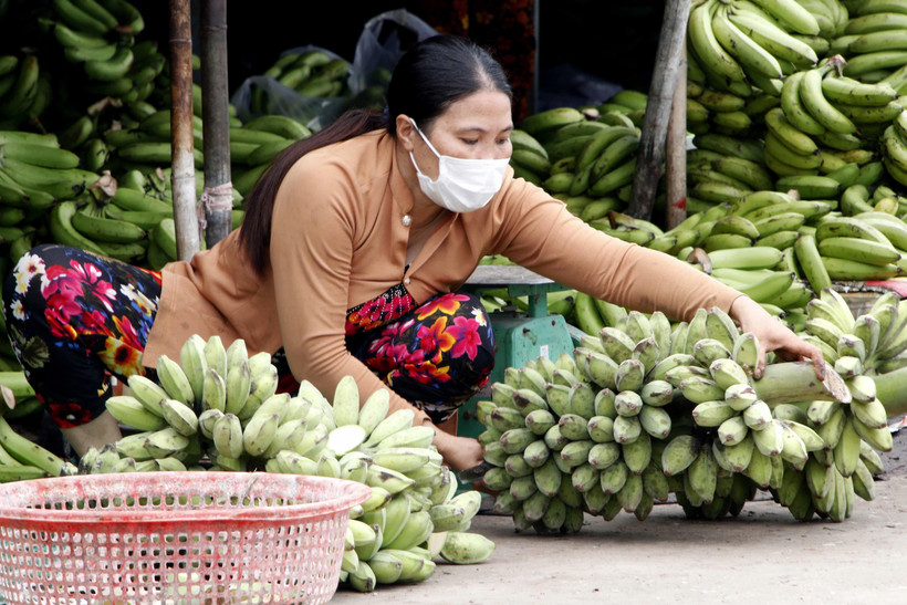 Tiểu thương tại Chợ phường 7, thành phố Cà Mau thực hiện mang khẩu trang để phòng, chống dịch COVID-19. (Ảnh: Kim Há/TTXVN)