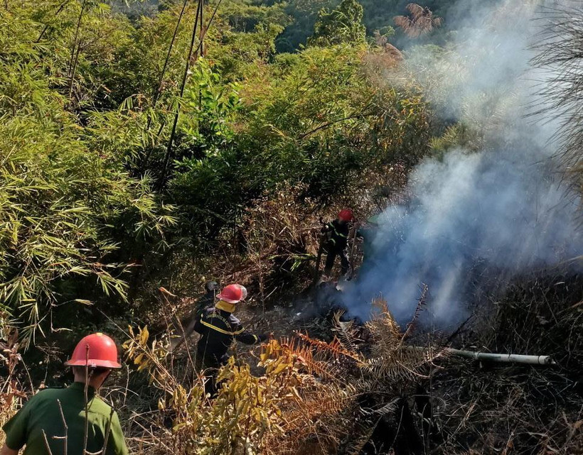 Lực lượng chức năng khống chế vụ cháy rừng. (Ảnh: TTXVN phát)