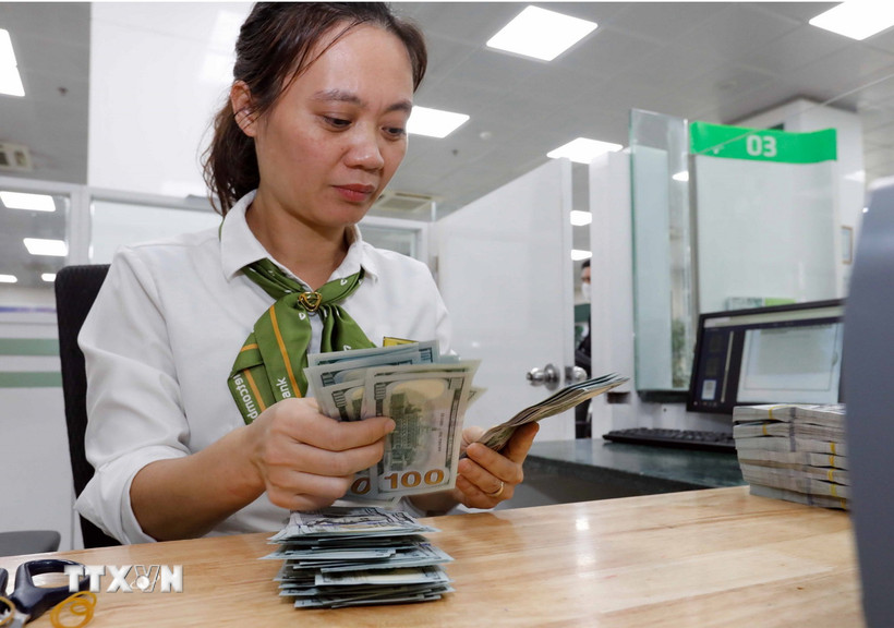 Kiểm đồng USD tại VietcomBank. (Ảnh: Trần Việt/TTXVN)