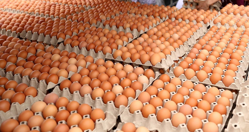 (Ảnh minh họa: Vũ Sinh/TTXVN)