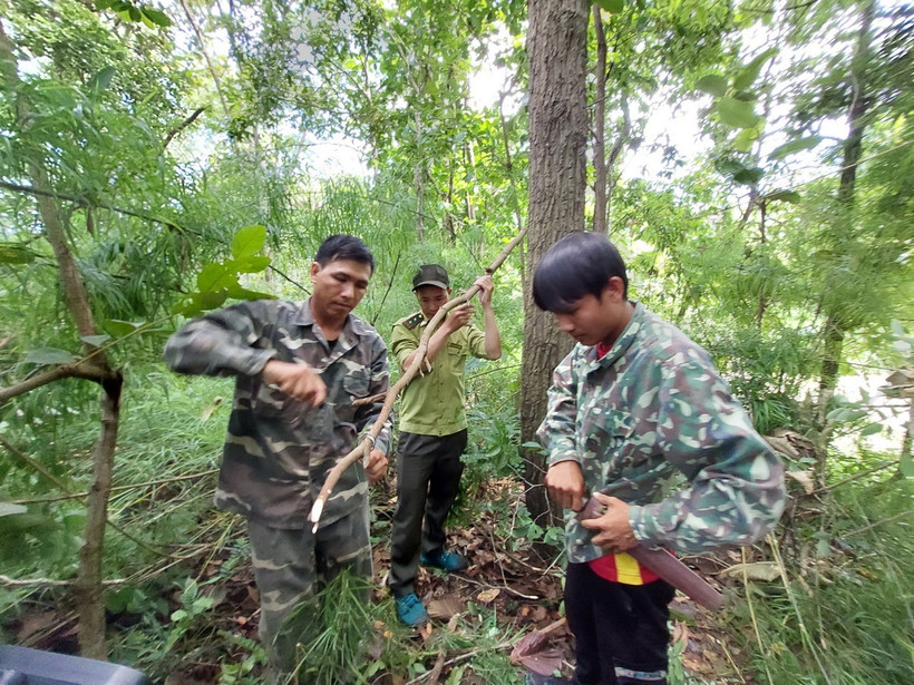 Tổ cộng đồng tuần tra bảo vệ rừng phối hợp với lực lượng kiểm lâm kiểm tra, tháo gỡ bẫy động vật tại Vườn Quốc gia Chư Yang Sin. (Ảnh: TTXVN phát)