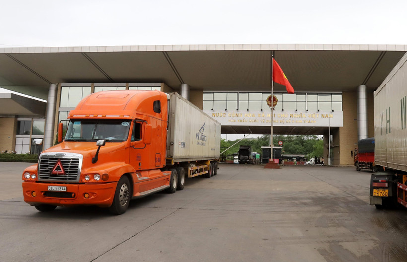 Các xe container chở quả vải thiều được xuất khẩu sang thị trường Trung Quốc tại Cửa khẩu Quốc tế đường bộ số 2 Kim Thành. (Ảnh: Quốc Khánh/TTXVN)