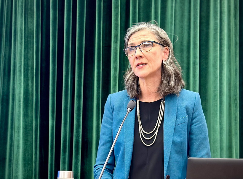 Bà Ramla Khalidi, Đại diện thường trú Chương trình Phát triển Liên hợp quốc (UNDP), phát biểu tại tọa đàm. (Ảnh: Việt Đức/TTXVN)