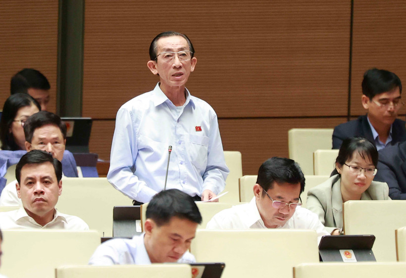 Đại biểu Quốc hội TP. Hồ Chí Minh Trần Hoàng Ngân phát biểu ý kiến. (Ảnh: Doãn Tấn/TTXVN)