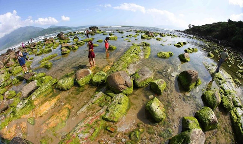 Ảnh minh họa. (Nguồn: TTXVN)