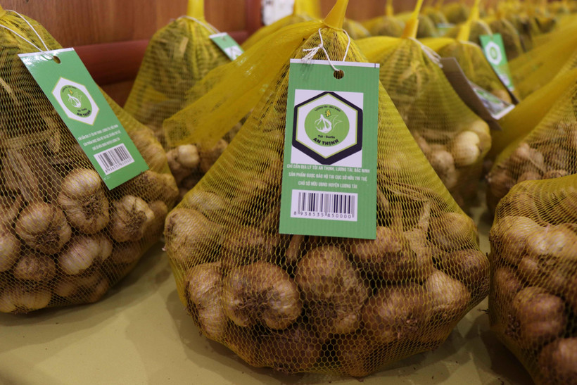 Sản phẩm tỏi An Thịnh, xã An Thịnh, huyện Lương Tài, tỉnh Bắc Ninh. (Ảnh: Thanh Thương/TTXVN)