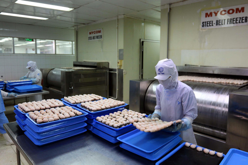 Công nhân làm việc tại Công ty cổ phần chế biến hàng xuất khẩu Cầu Tre. (Ảnh: Thanh Vũ/TTXVN)