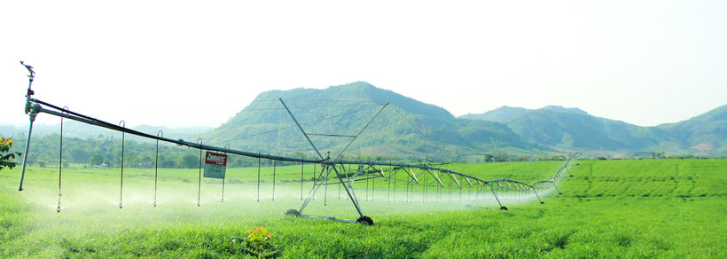 Ảnh minh họa. (Nguồn ảnh: TH)