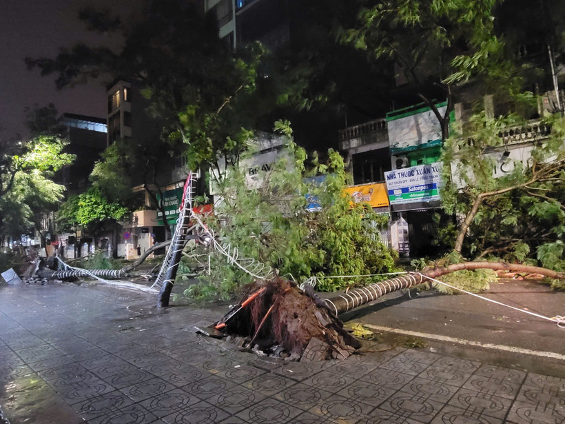 Hàng chục cây xanh gãy đổ trên nhiều tuyến phố của Thủ đô (ảnh chụp lúc 21h50). (Ảnh: Doãn Tấn/TTXVN)