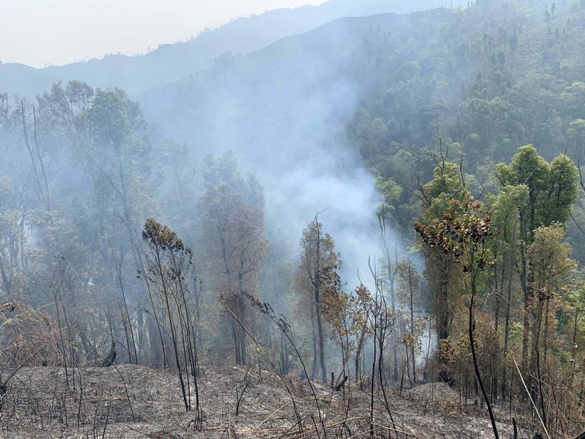 Ảnh minh họa. (Ảnh: Hữu Quyết/TTXVN)