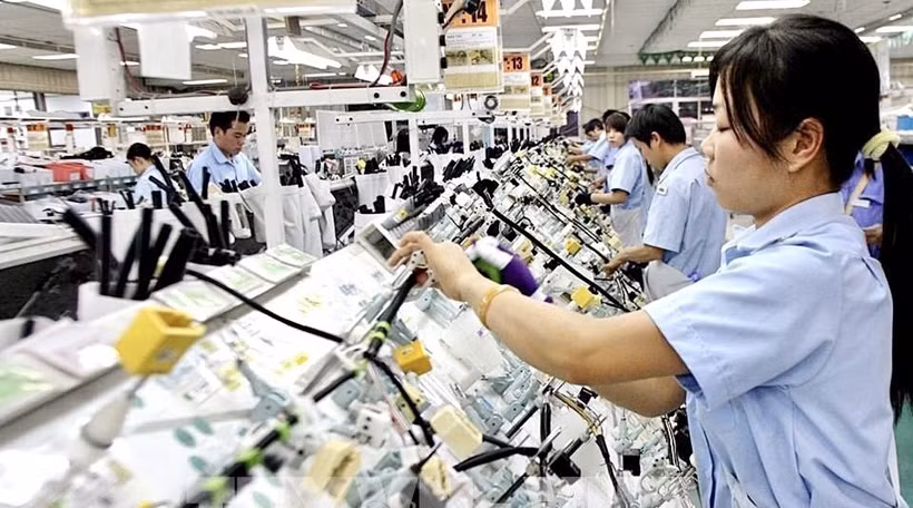 Công nhân Công ty TNHH hệ thống dây Sumi-Hanel (Hà Nội) hăng say làm việc ngay từ những ngày đầu, tháng đầu của năm mới. (Ảnh: TTXVN phát