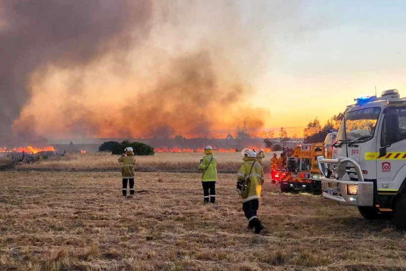 Lính cứu hỏa dập đám cháy rừng tại Parkerville, Australia ngày 23/11/2023. (Ảnh: AFP/TTXVN)