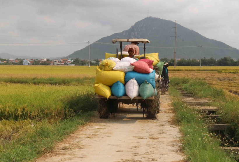 Ảnh minh họa. (Ảnh: Phạm Cường/TTXVN)