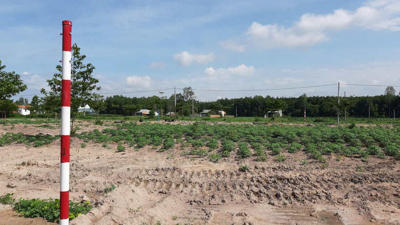 Dự án ma của Công ty Cổ phần địa ốc Alibaba tại xã Châu Pha, thị xã Phú Mỹ, tỉnh Bà Rịa- Vũng Tàu. (Ảnh: Huỳnh Sơn/TTXVN)