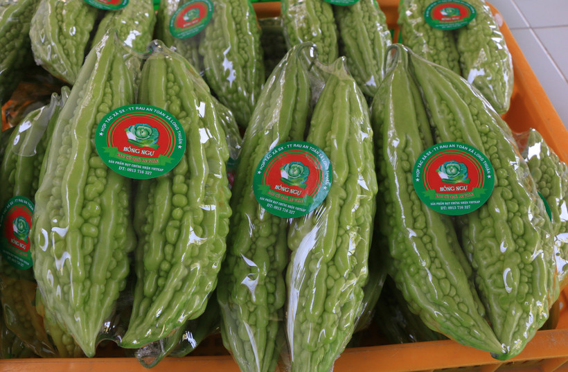 Mướp đắng (Khổ qua) đã qua sơ chế - đóng gói bao bì tại Hợp tác xã Rau an toàn xã Long Thuận, thuộc huyện Hồng Ngự, tỉnh Đồng Tháp. (Ảnh: Chương Đài/TTXVN)