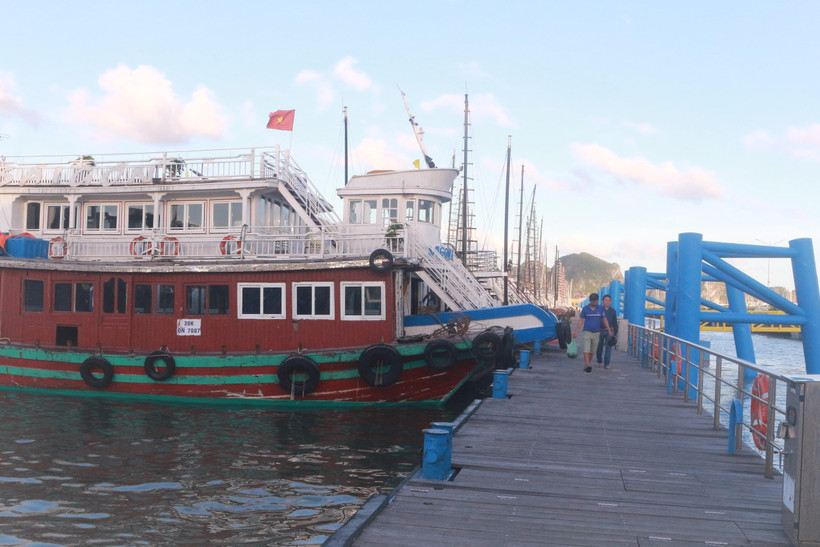 Dù tàu neo tại chỗ nhưng mỗi một tháng các doanh nghiệp phải chi trả hàng chục triệu đồng cho lao động và các chi phí khác. (Ảnh: Thanh Vân/TTXVN)