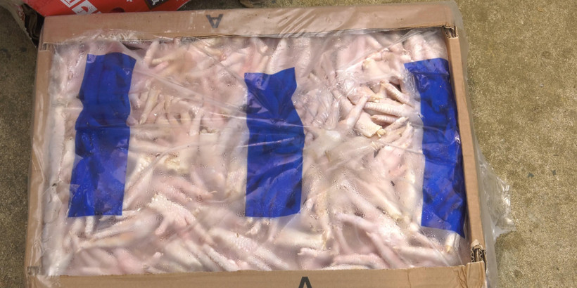 Chân gà đông lạnh không rõ nguồn gốc do lực lượng biên phòng thu giữ được. (Ảnh: TTXVN) 