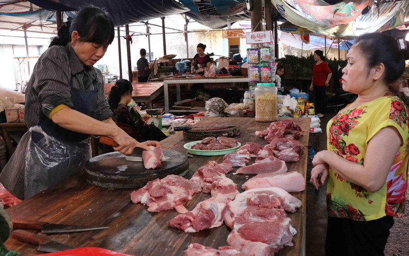 Ảnh minh họa. (Ảnh: Thanh Thương/TTXVN)